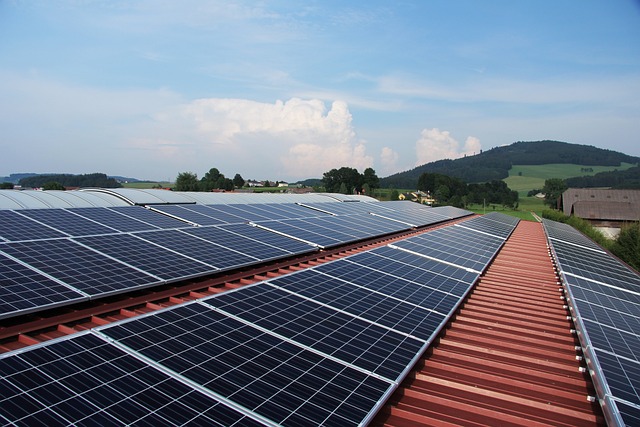 How Many Solar Panels To Power A House On Maui?